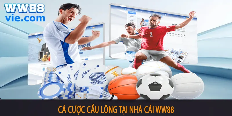 THỂ THAO WW88 Cá cược cầu lông thu hút đông đảo bet thủ tham gia