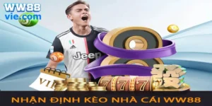nhận định kèo nhà cái WW88